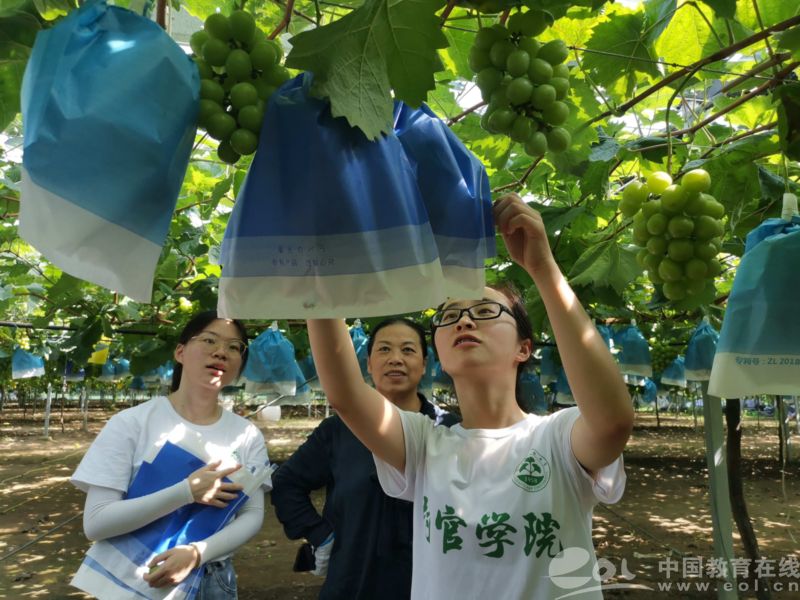《中国教育在线》：浙江农林大学50名大学生暑假深入田间地头驻村实习修学分